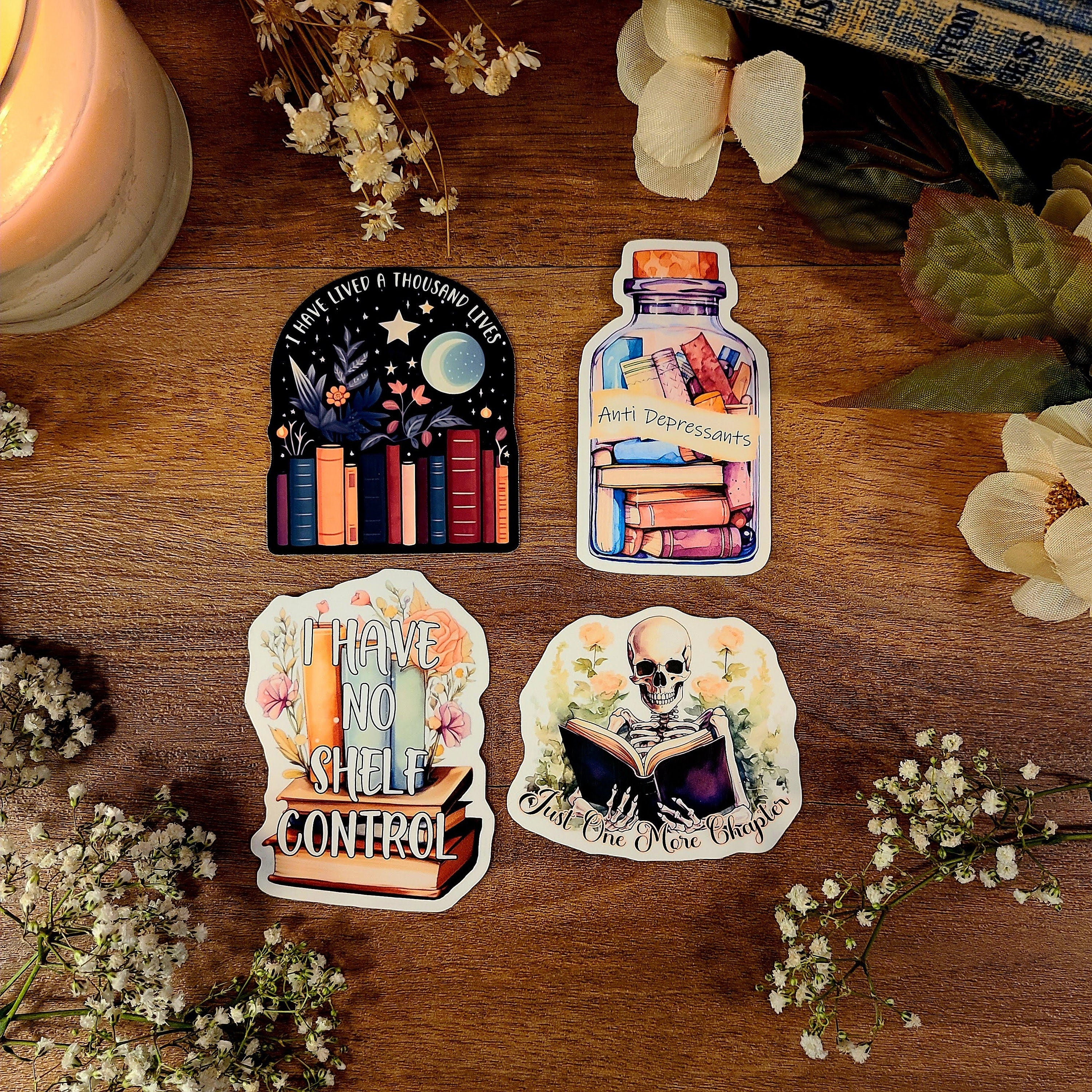 Bookish Set, Book Lover, I Have No Shelf Control, Reader, Bookworm, Bookstagram, Booktok,  Fairy Tale, One More Chapter, Vinyl Sticker Decal