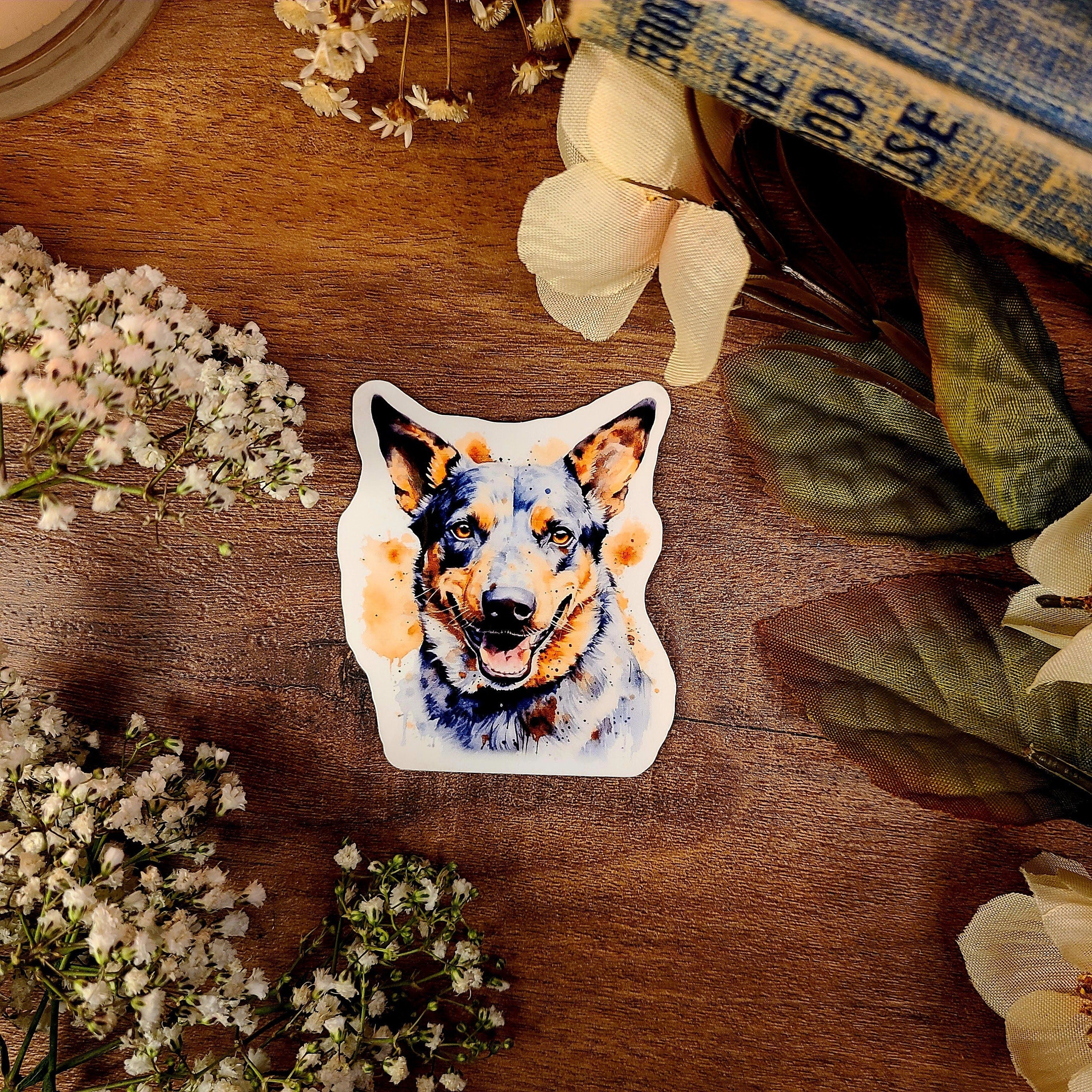 Australian Cattle Dog, Blue Heeler, Red Heeler, Queensland Heeler, Fur Baby, Vinyl Sticker Decal