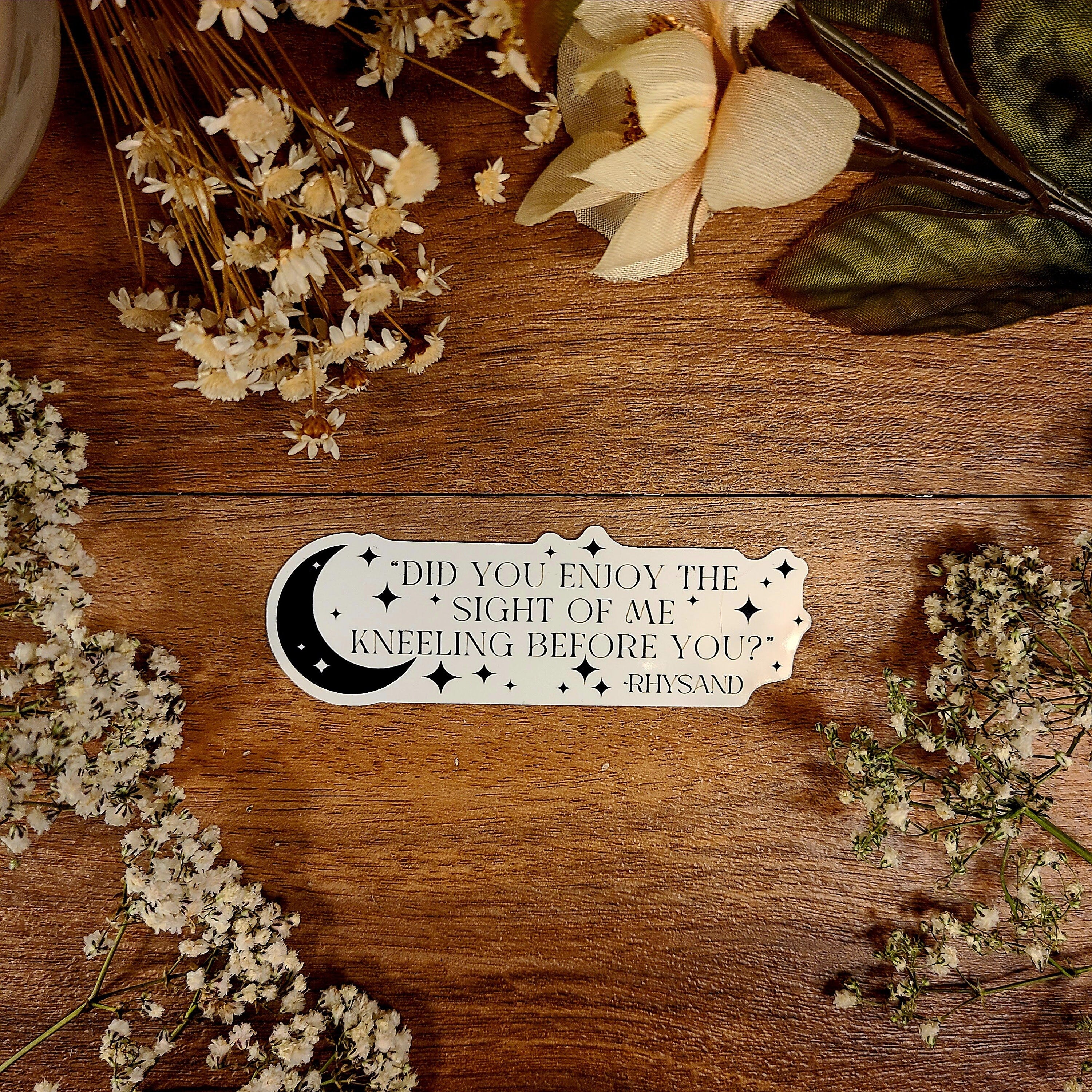 Bat Boys Fan Club, Wingspan, Hello Feyre Darling, ACOTAR, Rhysand, Night Court, Fae, Sarah J Maas, Vinyl Sticker Decal