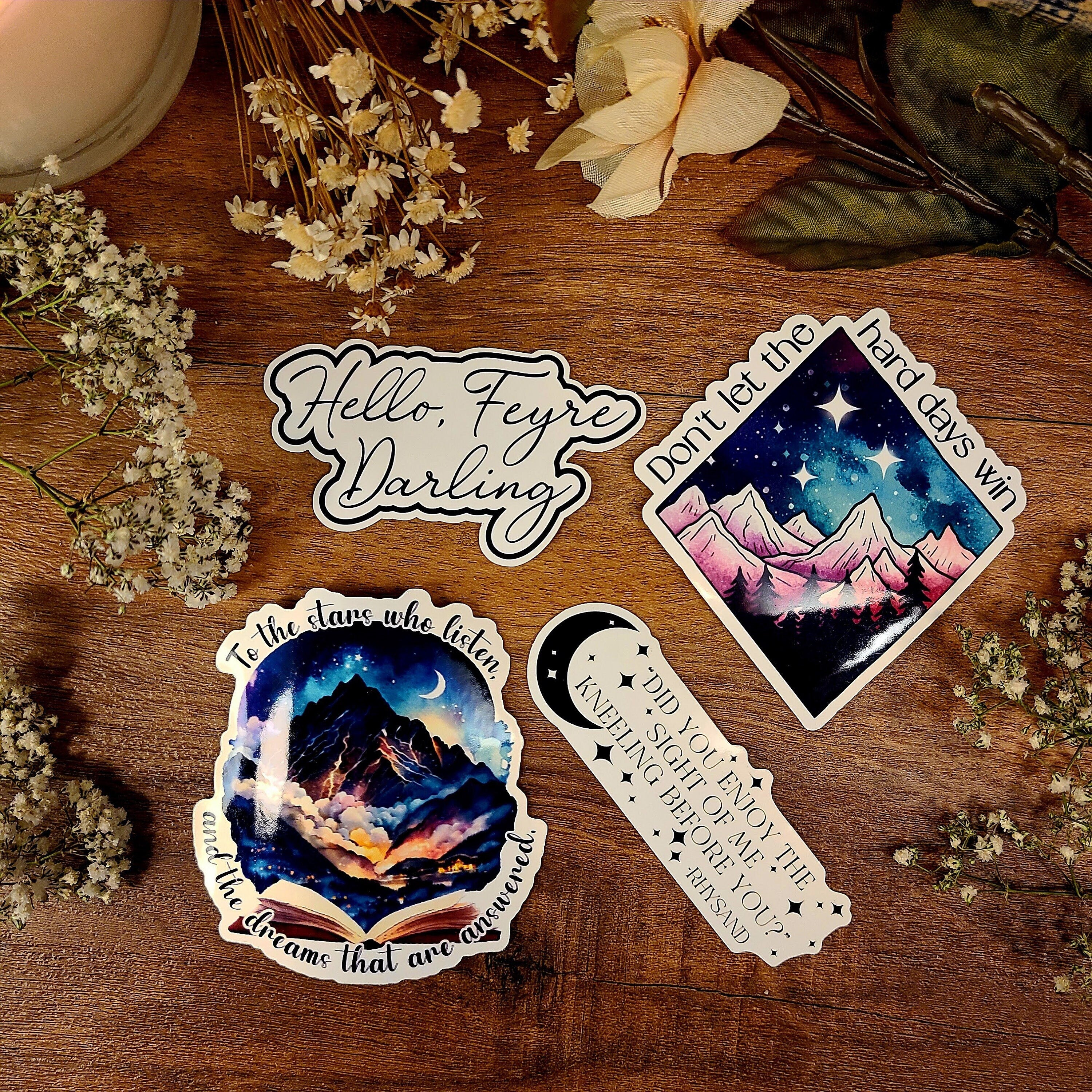 Bat Boys Fan Club, Wingspan, Hello Feyre Darling, ACOTAR, Rhysand, Night Court, Fae, Sarah J Maas, Vinyl Sticker Decal